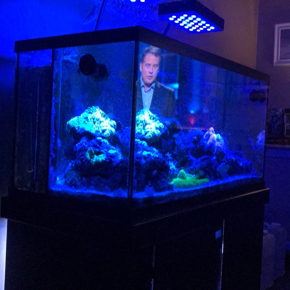 Meet your Posher, Lindy